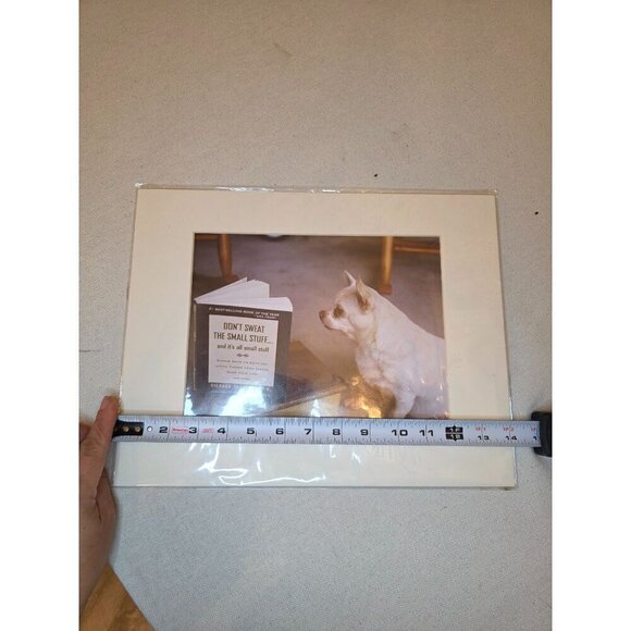 Chihuahua Staring At Book "Dont Sweat The Small Stuff" Photography Print By Eliz - Picture 2 of 8